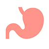 Digestion Icon